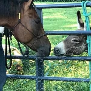 Meet your Posher, Brooke